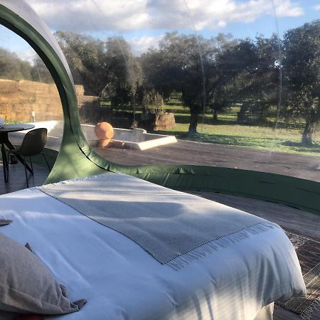 El Toril Glamping Experience Vila Parrillas Exterior foto