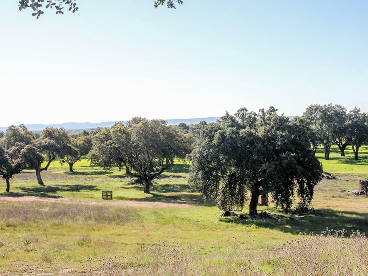 El Toril Glamping Experience Vila Parrillas Exterior foto